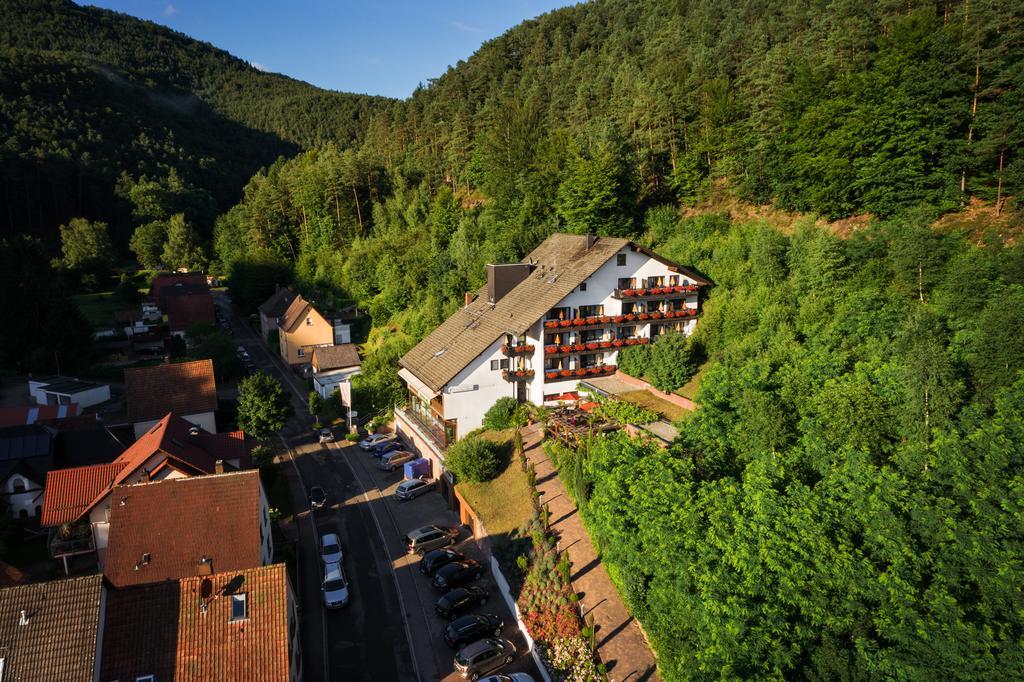 Hotel Die Kleine Blume Erfweiler Eksteriør billede