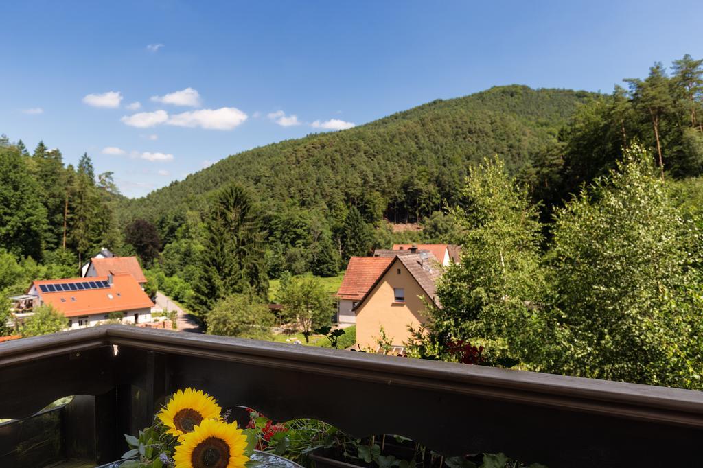 Hotel Die Kleine Blume Erfweiler Eksteriør billede